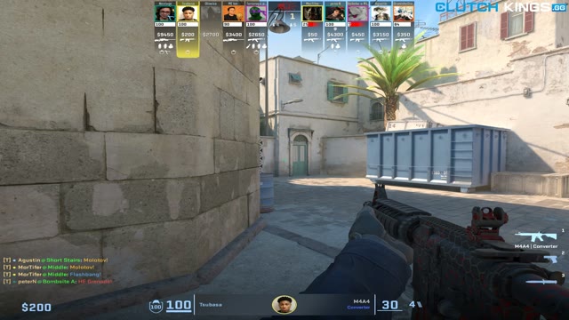 Clip #137871