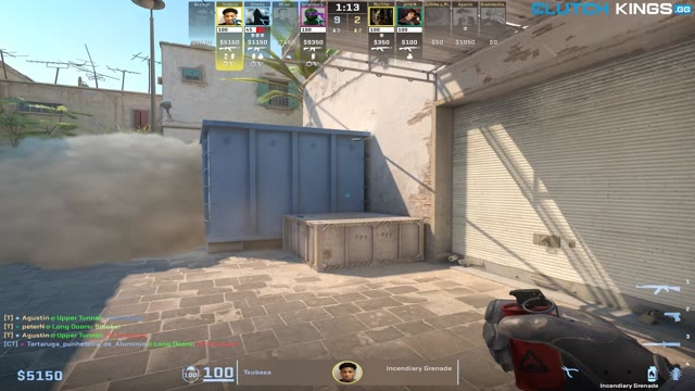 Clip #137873