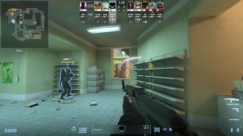 Clip #13805