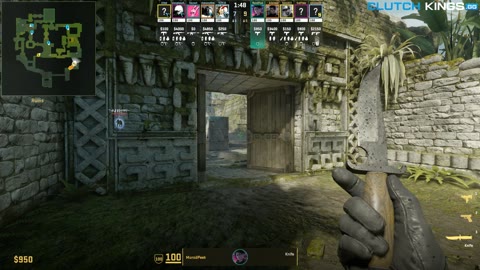 Clip #138081