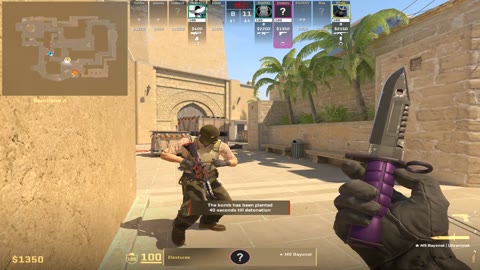 Clip #138246