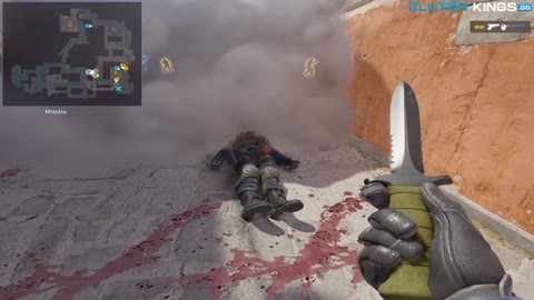 Clip #139351