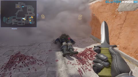 Clip #139352