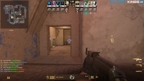 Clip #139673