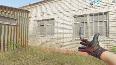 Clip #142232