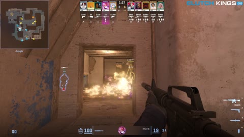 Clip #142493