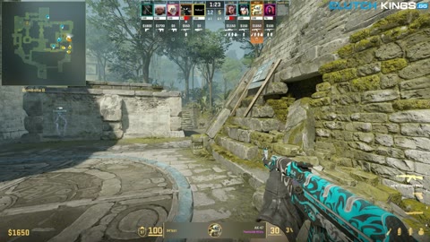 Clip #145439