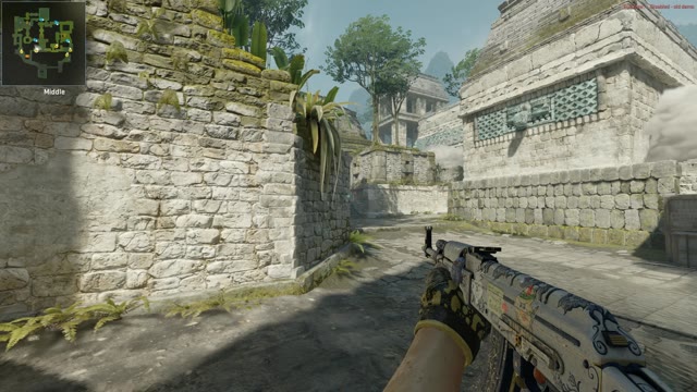 Clip #146202