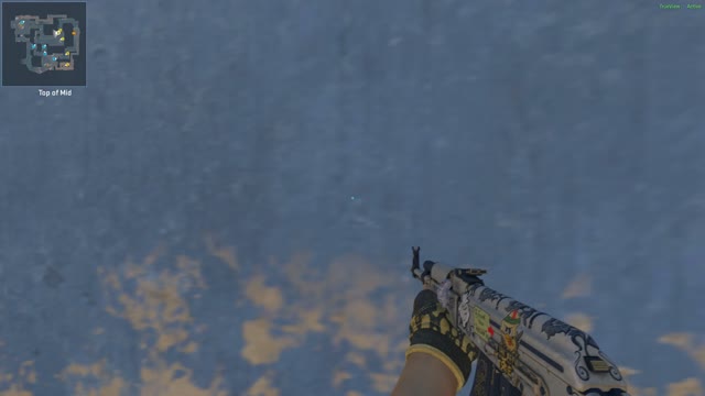 Clip #146251