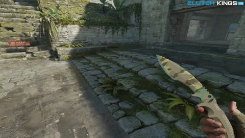 Clip #146571
