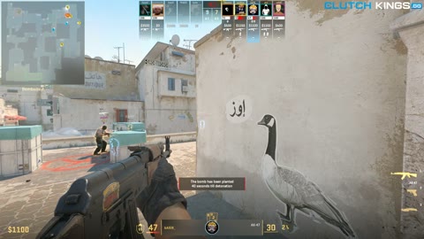 Clip #146984