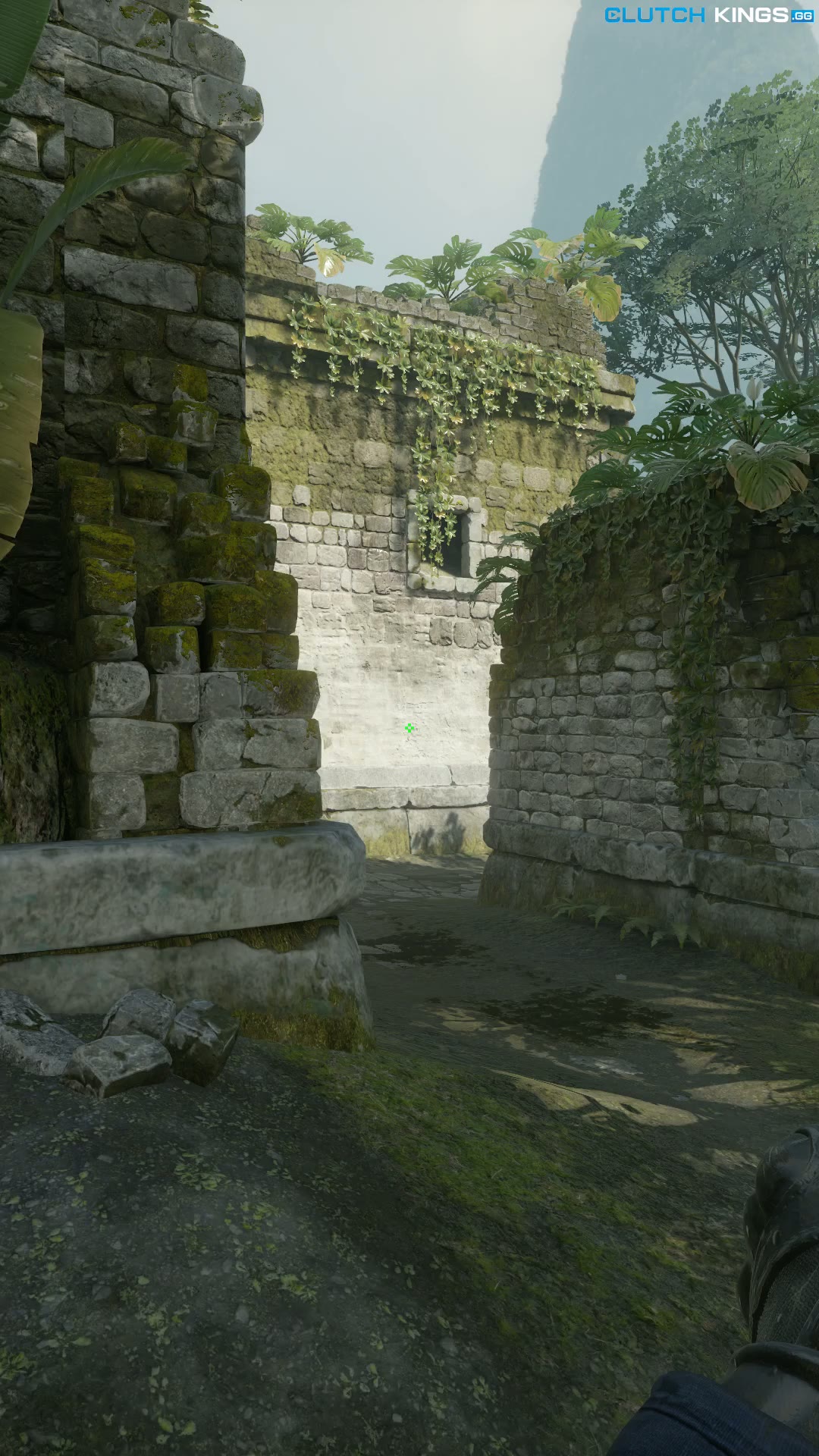 Clip #147044