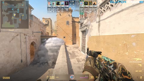 Clip #148775