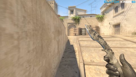 Clip #156263