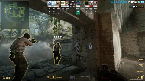 Clip #156499
