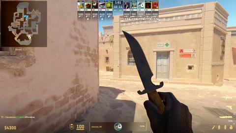 Clip #16173