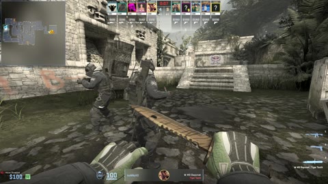 Clip #16311