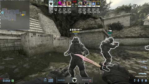 Clip #16312