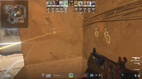 Clip #16345