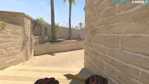 Clip #164522