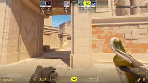 Clip #16477