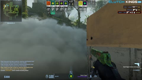 Clip #166202