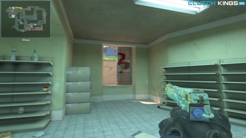 Clip #166545