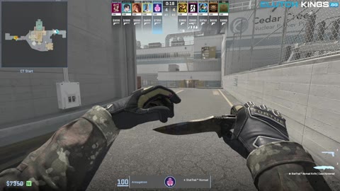 Clip #167665