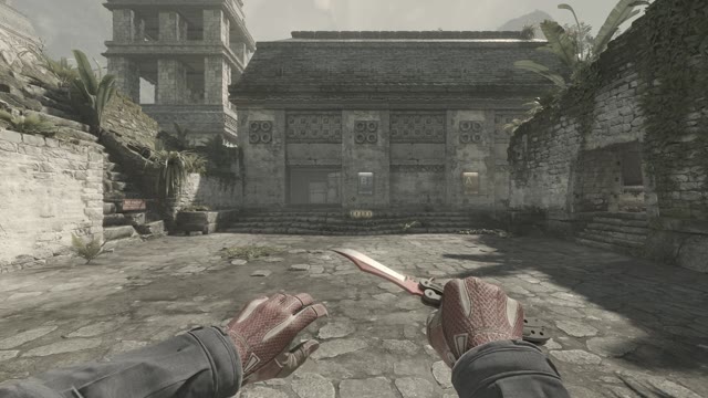 Clip #168721