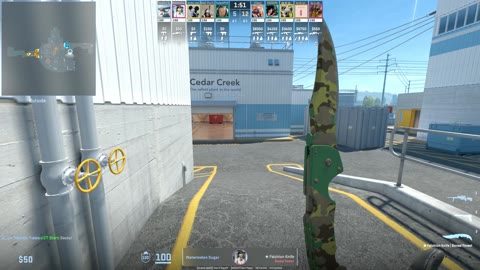 Clip #17139