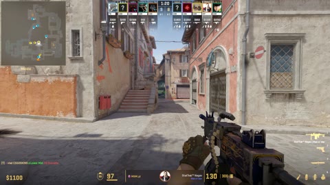 Clip #17196