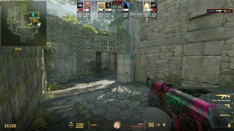 Clip #17293