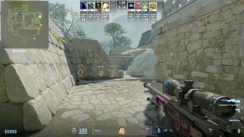 Clip #17301