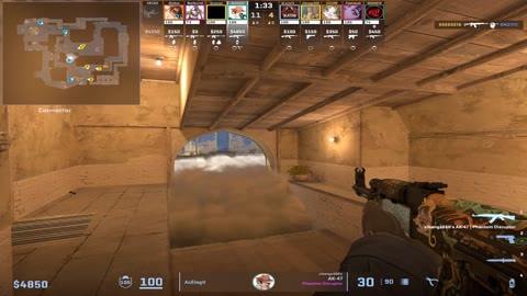 Clip #17333
