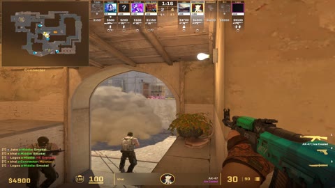 Clip #17366