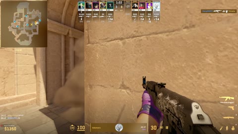 Clip #17443