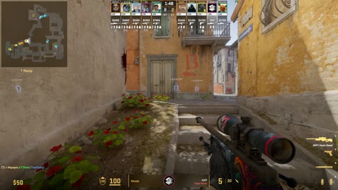 Clip #17495