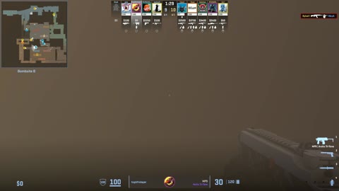 Clip #17499