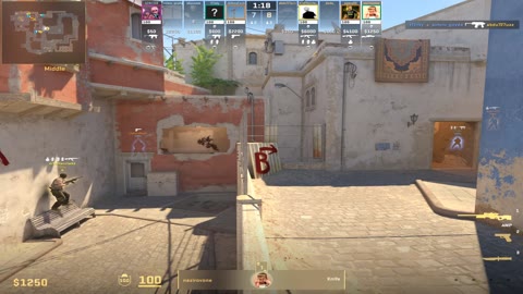 Clip #17531