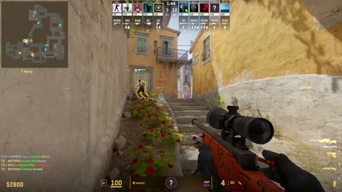 Clip #17668