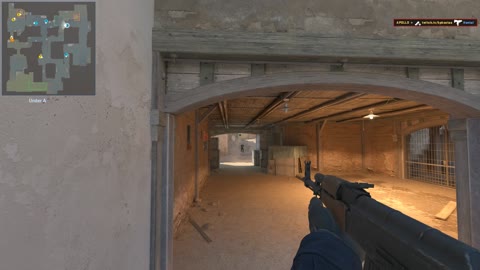 Clip #17798