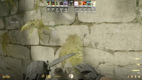 Clip #17849
