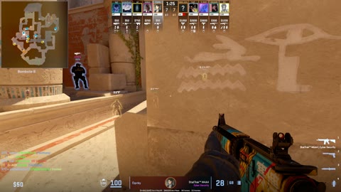 Clip #18131