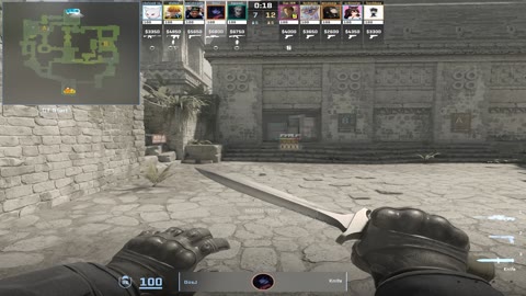 Clip #18312