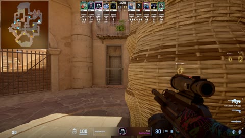 Clip #18445