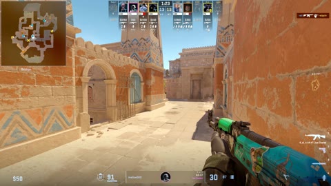 Clip #18446