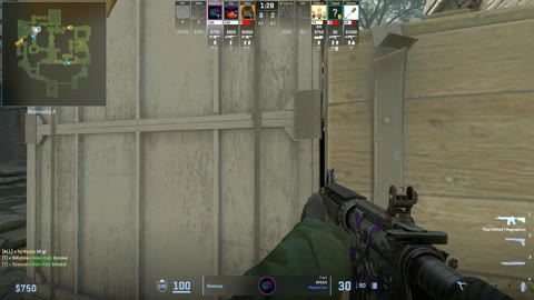 Clip #18489