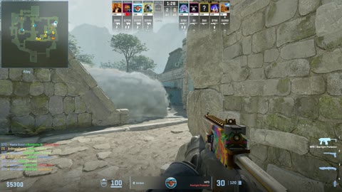 Clip #18496