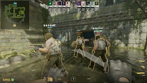 Clip #18498