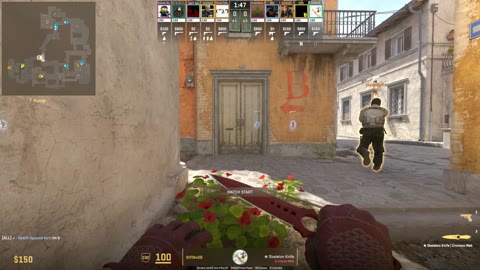 Clip #18734